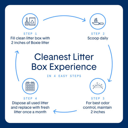 Boxie® Glo™ 30 Day Odor Control Non-Clumping Crystal Cat Litter, 6 lb, Natural Attractions, UV Light Attractant, Soft Granules, 99.9% Dust-Free, Long-Lasting for Multi-Cat Homes