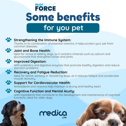 NutriForce 44-in-1 Multivitamin for Dogs – Daily Supplement for Hip & Joint, Skin & Coat, Immune, Digestion, Energy & Heart – 120 Chewable Tablets – Liver Flavor – All Breeds & Ages – Vet Recommended