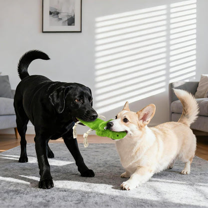 Interactive Dog Toys,No Stuffing Squeak Dog Toy for Large Dogs.Plush Dog Toy for Puppy, Small, Medium, Large Dog,Not for Aggressive Chewers(Rope Crocodile&Honey Badger)