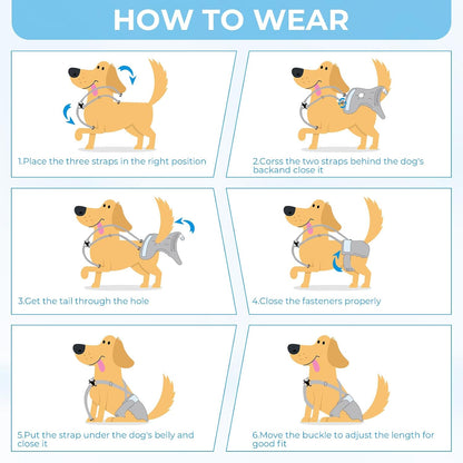 Reusable Super Absorbent & Leakproof Fixed Doggie Diapers for Dogs in Heat Cycle