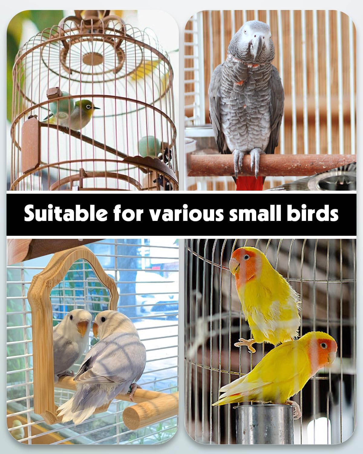 Pawfly Bird Water Dispenser, Automatic Water Feeder, Plastic Cage Water Dispenser, White Parrot Waterer for Small Parakeet Cockatiel Budgie Lovebirds (Not Fit for Food Feeding)