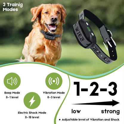 WIEZ GPS Wireless Dog Fence, Electric Dog Fence for Outdoor, Range 65-3281ft, Adjustable Warning Strength, Rechargeable, Pet Containment System, Harmless and Suitable for Most of Dogs(2 Collars)