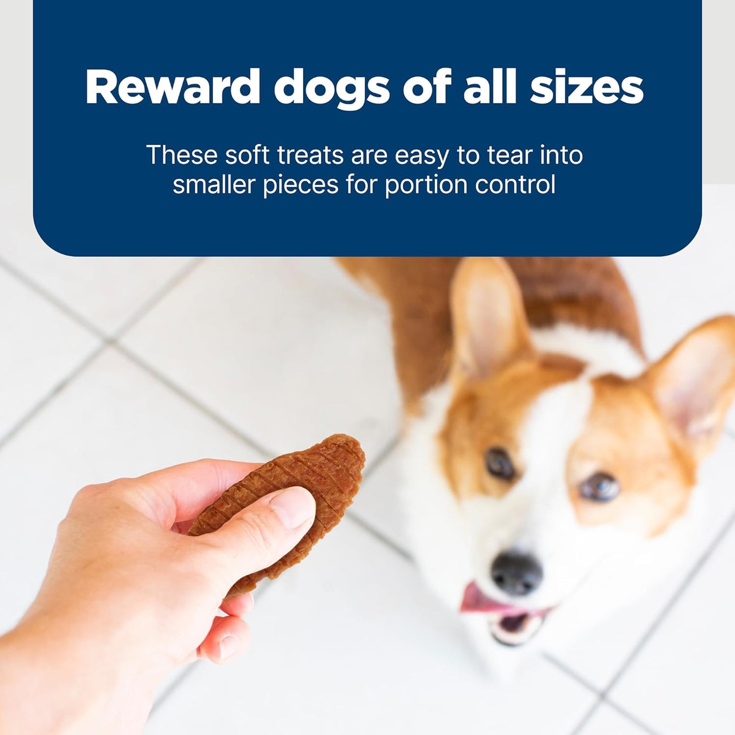 Blue Buffalo Nudges Jerky Bites Dog Treats, Made in the USA with Natural Ingredients, Bite-Sized Pieces, Chicken, 16-oz Bag