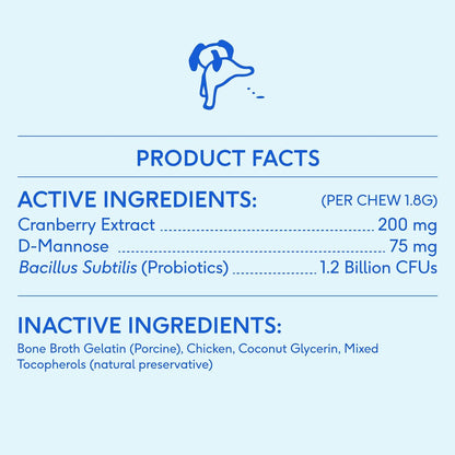 Native Pet Bladder & Immune Support Bundle: Bladder Chews for Dogs (120 Air-Dried Chews) & The Daily Dog Multivitamins (120 Scoops) - UTI Treatment & Prevention Plus 11-in-1 Multivitamin for Pups