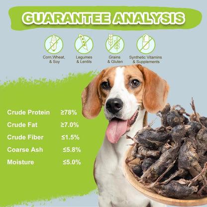 Freeze-Dried Quail Cats & Dogs Treats - Single Ingredient Pet Snacks, High-Protein Training Rewards, Grain-Free, Easy Digestion (3oz)