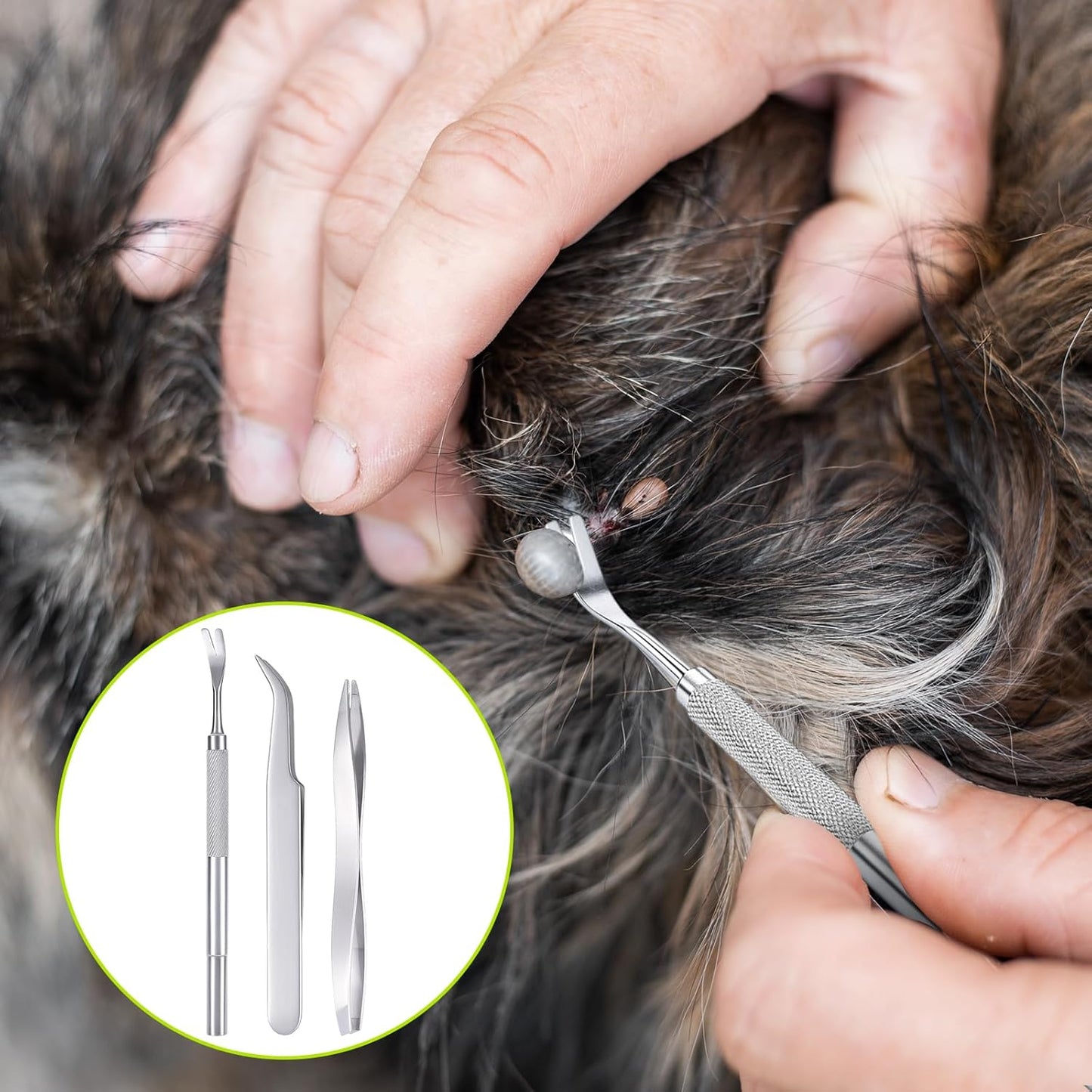 3 in 1 Tick Remover Kit, 3 Pack Stainless Steel Tick Tweezers, Ticks Fork and Portable Storage Case for Cats and Dogs