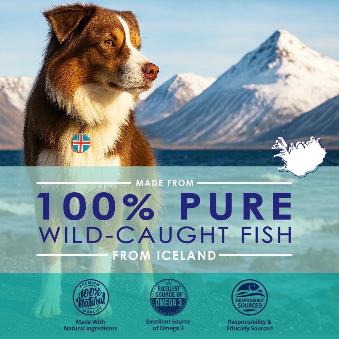 Liquid Fish Oil for Dogs with Omega 3, 6 & 9 Fatty Acids, Wild Caught from Iceland, Skin and Coat Supplement for Shedding, Itchy Skin, Allergies, Brain and Heart Health, Rich in EPA + DHA - 12 oz