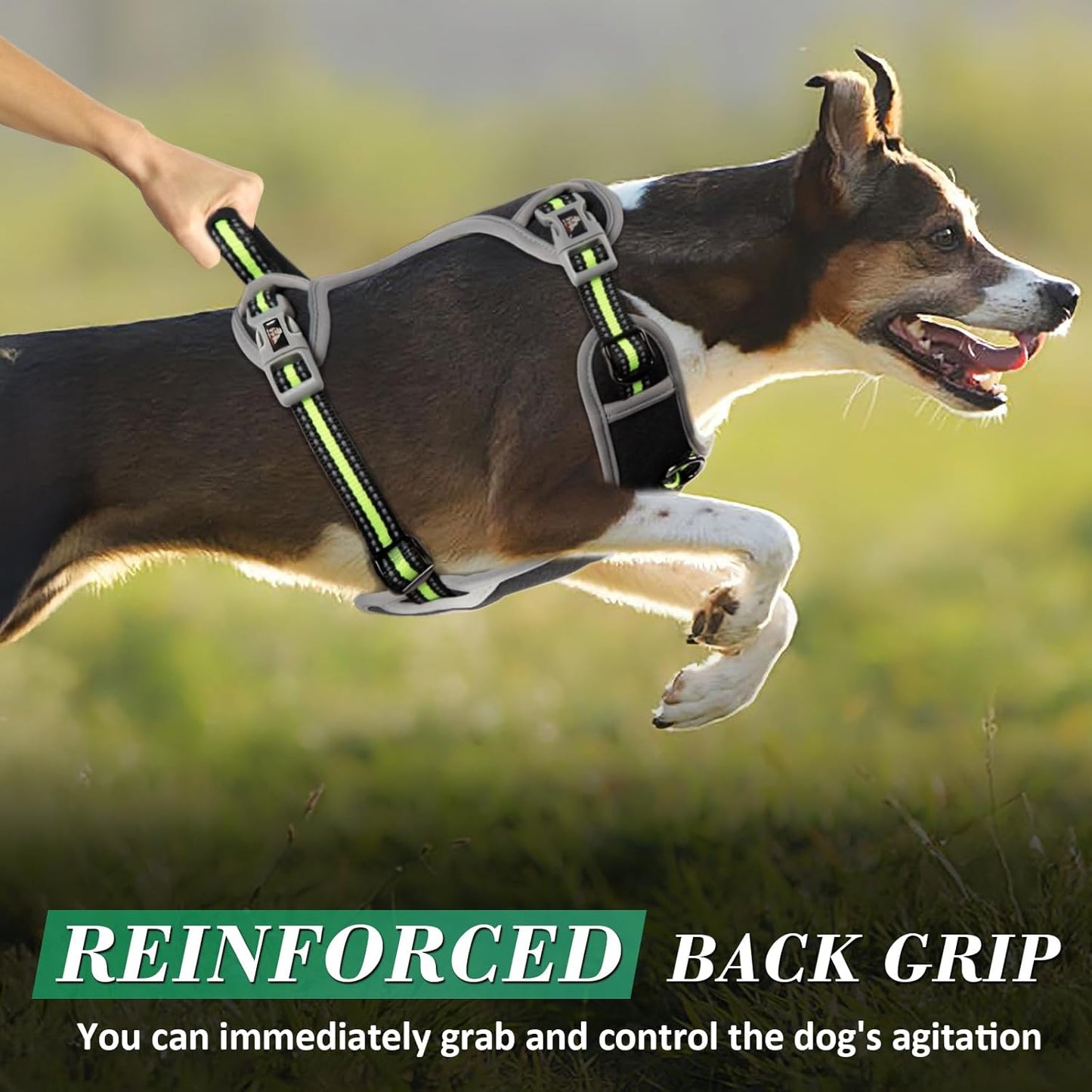 Dog Harness, No Pull Pet Vest Reflective Strip Escape Proof, Easy to Adjust Dog Harness with Escape Proof Function Suitable for Walking, Traveling and Training, Black, L