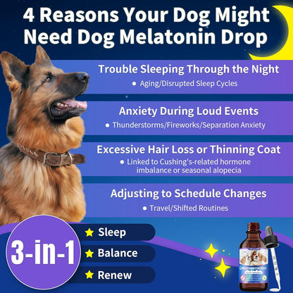 Dog Probiotic Chews + Melatonin Drops Bundle – Digestive & Sleep Support for Dogs | Promotes Gut Health, Calmness & Restful Nights