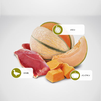 Farmina N&D, Pumpkin Duck Pumpkin and Cantaloupe Melon Recipe Adult Dry Cat Food, 3.3lb