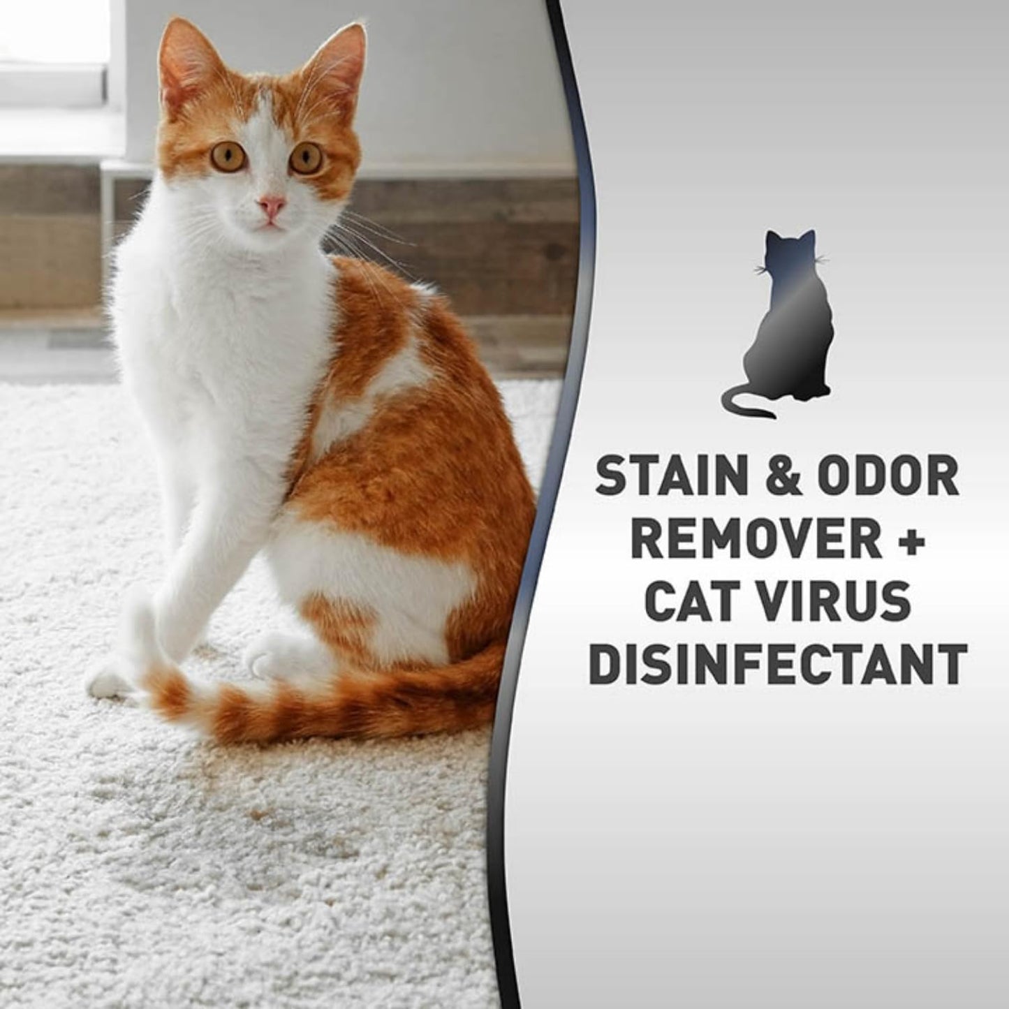 Nature's Miracle Advanced Platinum Stain and Odor Remover and Virus Disinfectant 32 Ounces, Eliminates Tough Dog Messes (Pack of 2)