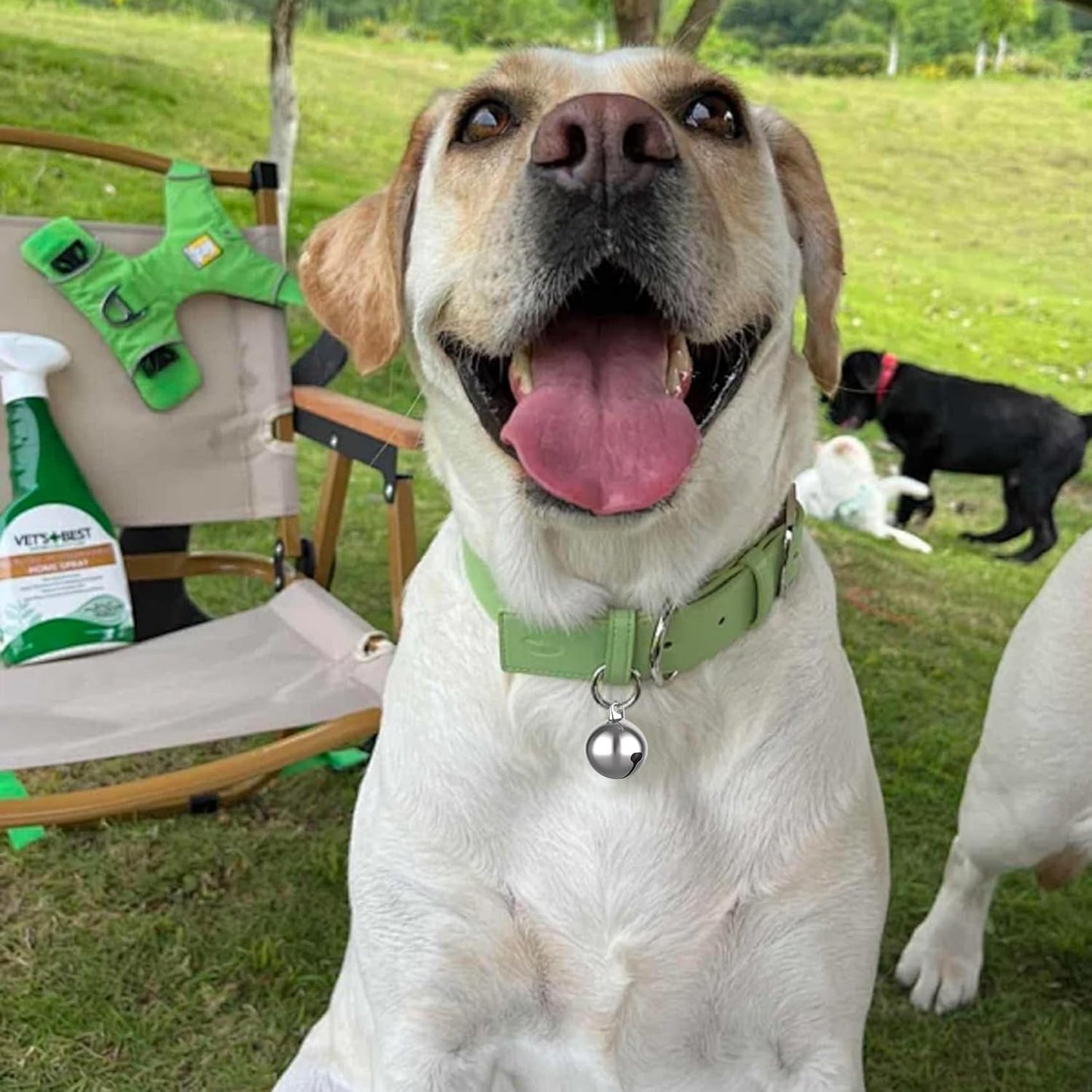 SKYPIA Round Dog Bells Dog Charm Bells Pet Pendant, 3 PCS Anti-Lost Training Bells for Collars, Suitable for Pet Pendant Accessories,1/2-Inch, Random