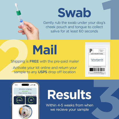 WoofSpan Dog Biological Age Test - DNA Methylation Science to Assess Healthspan, Aging Rate, and Risk for Common Conditions - Personalized Health Report & Preventative Care Tool for Dogs