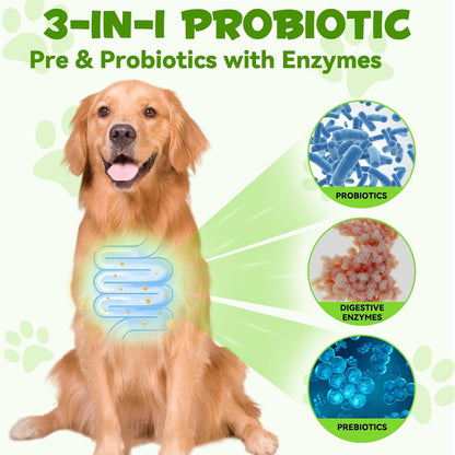 Liquid Dog Probiotic,Natural 3 in 1 Probiotic for Dogs, Dog Digestive Support,Gut Health Support,Help with Diarrhea,Gas and Bloating,Dog Herbal Supplements- 60ml