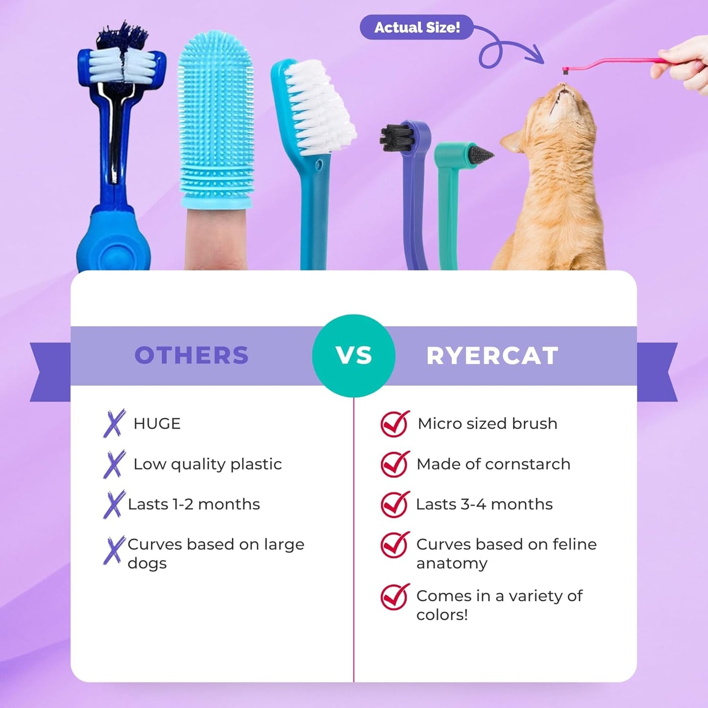 RYERCAT Set of 2 Dual Sided Cat Toothbrush - Kitten Toothbrush with Micro Head to fit into Cat/Kittens Mouth - Cat Dental Care Supplies - Pet Toothbrush for Cats(Amethyst Purple & Ocean Blue)