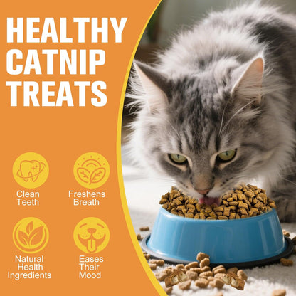 Natural Crunchy & Soft Cat Treats for Indoor Cats - Catnip & Salmon Flavor, Cat Snacks with Real Salmon, Dental Care & Digestive Support, Healthy Training Treats for Cats & Kittens