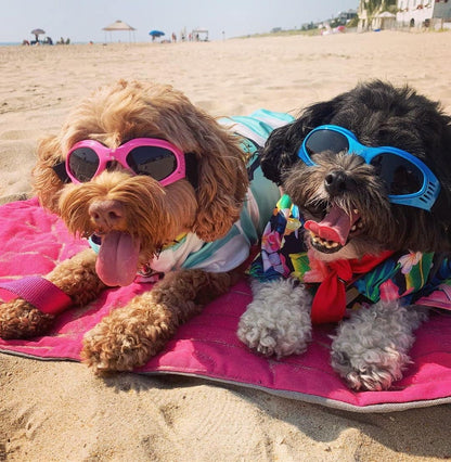 NAMSAN Dog Sunglasses Medium Breed UV Protection Dog Goggles for Small to Medium Dogs Windproof Anti-Fog Snowproof Puppy Glasses, Easy Wear/Adjustable (Pink)