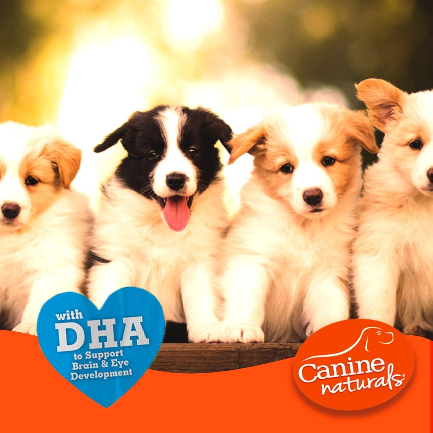 Canine Naturals Puppy Chicken and Rice Chew - Rawhide Free Puppy Treats - Made with USA Chicken - All-Natural & Easily Digestible - 10 Pack of 5-Inch Sticks for Puppies