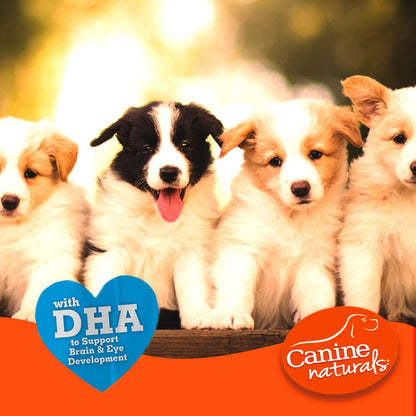 Canine Naturals Puppy Chicken and Rice Chew - Rawhide Free Puppy Treats - Made with USA Chicken - All-Natural & Easily Digestible - 10 Pack of 5-Inch Sticks for Puppies