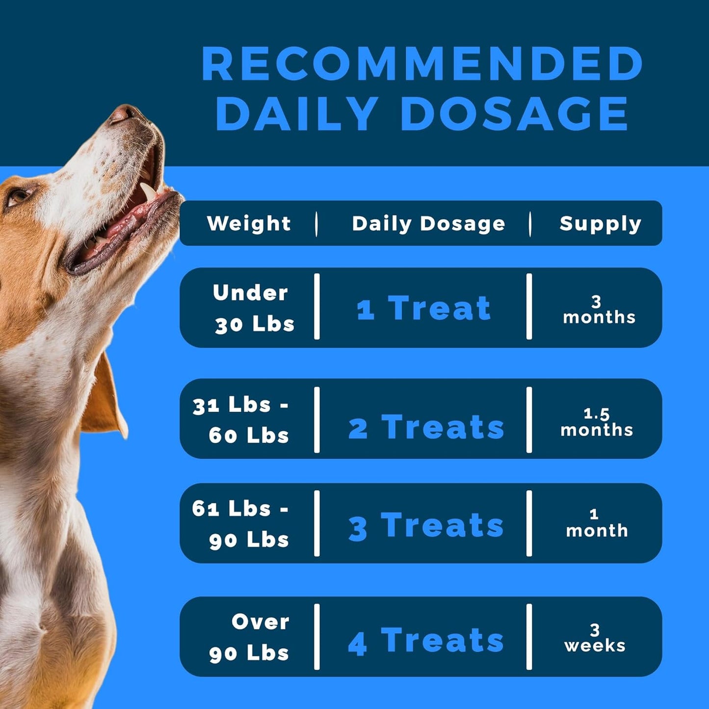 Probiotics for Dogs | Soft Chews with Digestive Enzymes, Pumpkin & Prebiotics | Supports Gut Health, Immunity, Stool Quality & Nutrient Absorption | Peanut Flavor, 90 Count