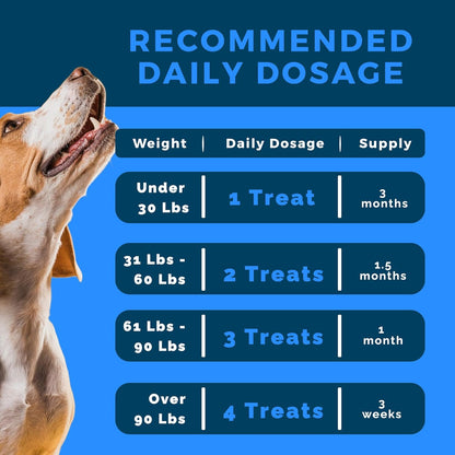 Probiotics for Dogs | Soft Chews with Digestive Enzymes, Pumpkin & Prebiotics | Supports Gut Health, Immunity, Stool Quality & Nutrient Absorption | Peanut Flavor, 90 Count