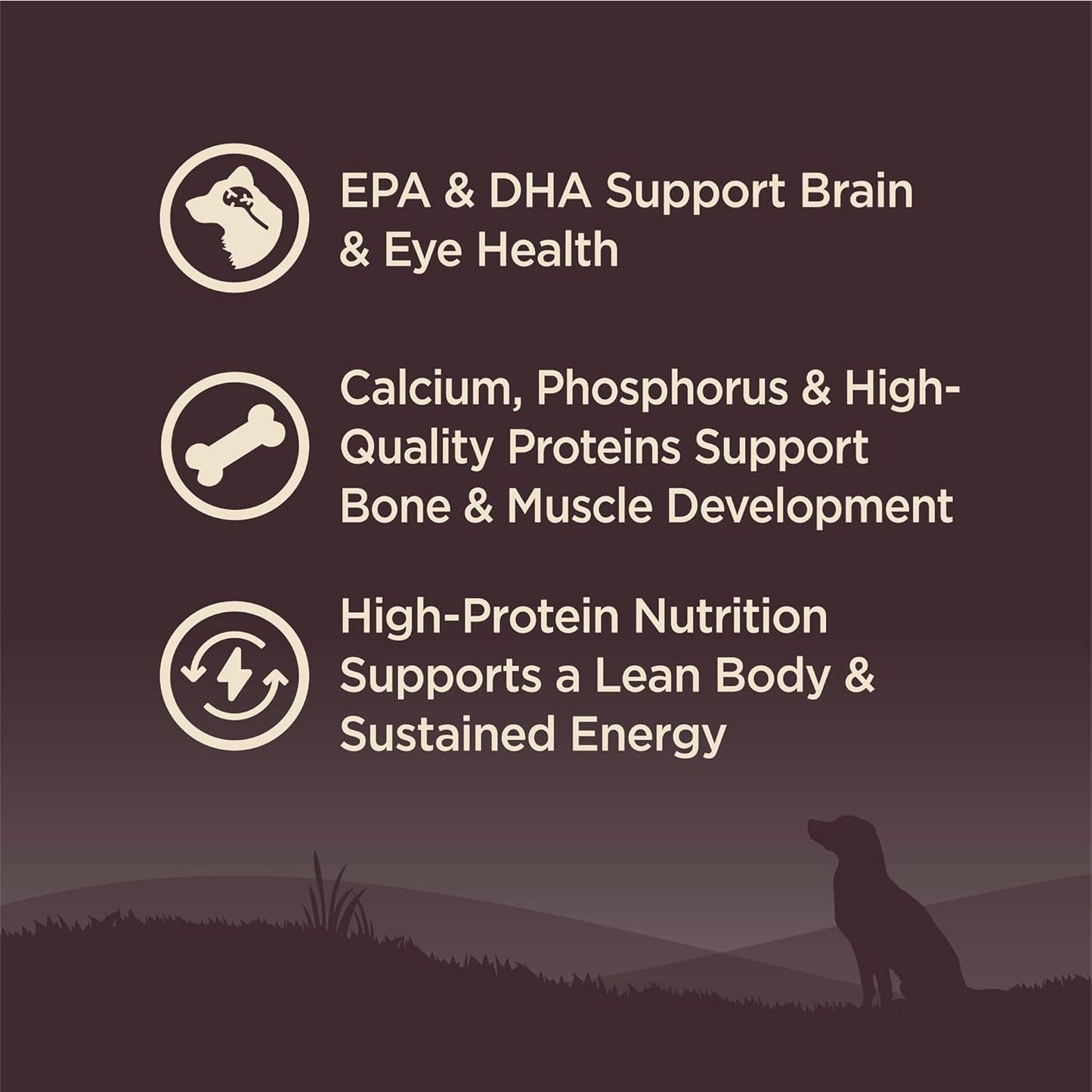 Wellness CORE Puppy Dry Dog Food, Grain-Free, High Protein, Natural, Chicken & Turkey Recipe, (26-Pound Bag)