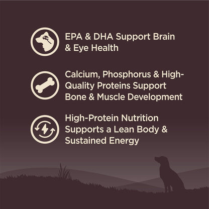 Wellness CORE Puppy Dry Dog Food, Grain-Free, High Protein, Natural, Chicken & Turkey Recipe, (26-Pound Bag)