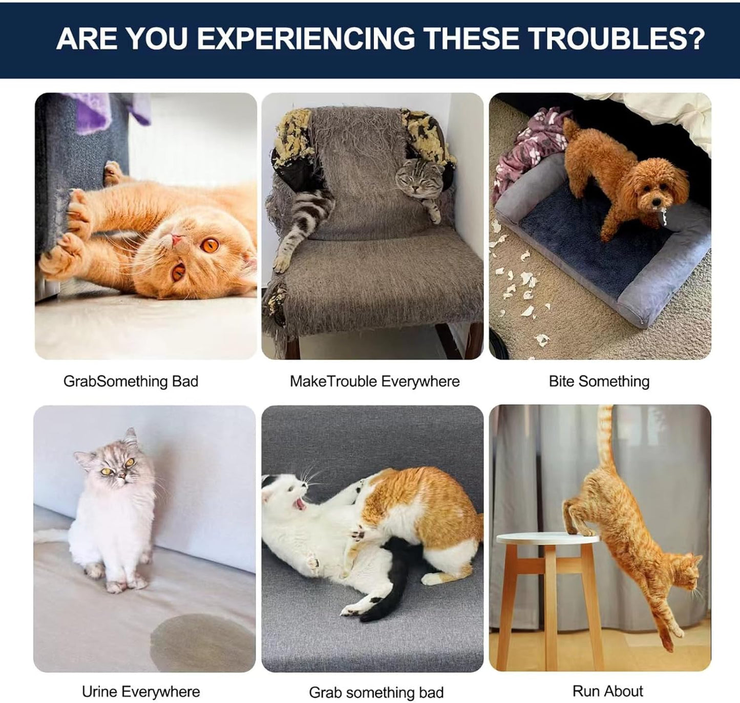 2 Bottles Cat Deterrent Spray – Natural, Non-Toxic Anti-Scratch Spray for Cats & Kittens – Indoor & Outdoor Pet Training Aid – Furniture & Carpet Protector (Blue, M)