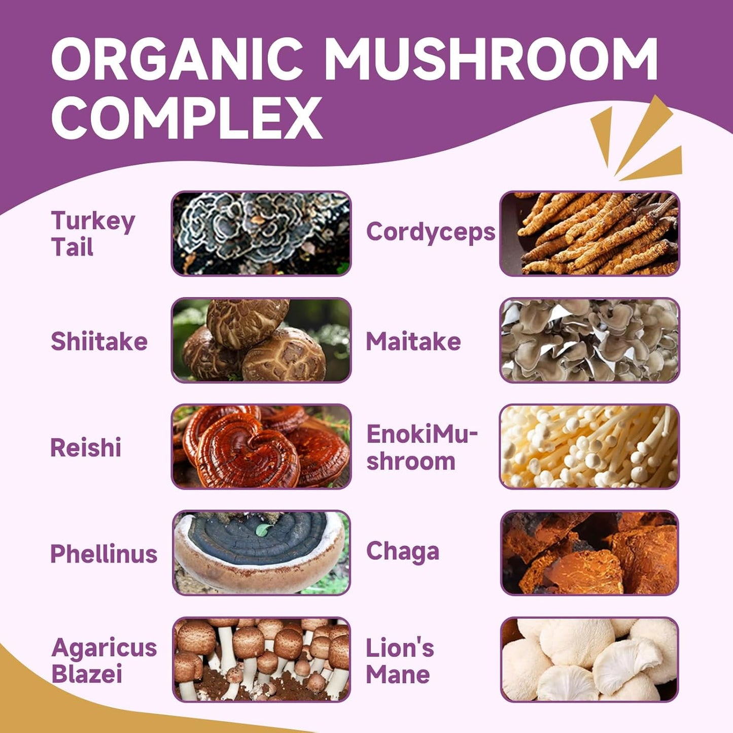 Mushroom for Dogs & Cats, Support Immune System, Digestion, Skin & Coat, Cat Hairball Remedy - Kitten Furball Treatment