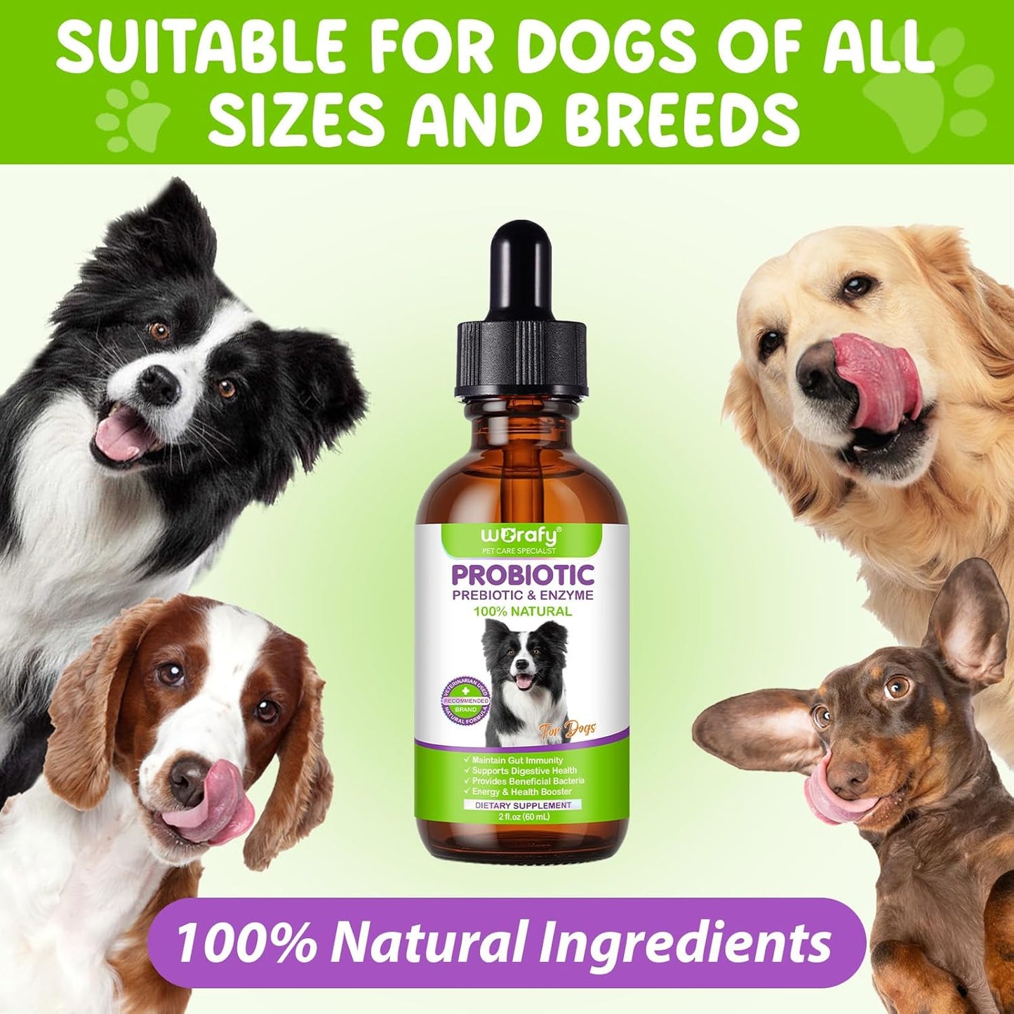 Dogs Probiotic Prebiotic & Enzyme 3-in-1 Liquid Drops, Maintain Gut Immunity Supports Digestive Health, Pre and Probiotics Supplement for Dogs (2 fl.oz /60 mL)