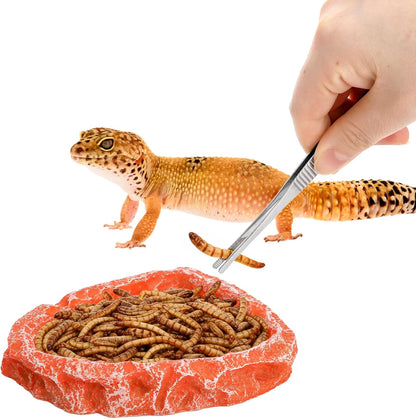 Frcctre 4 Pack Reptile Food Dish with Feeding Tongs, Resin Reptile Water Dish Food Bowl Feeding Terrarium Bowl for Leopard Gecko Lizard Tortoise Hermit Crab Bearded Dragon Chameleon, Orange