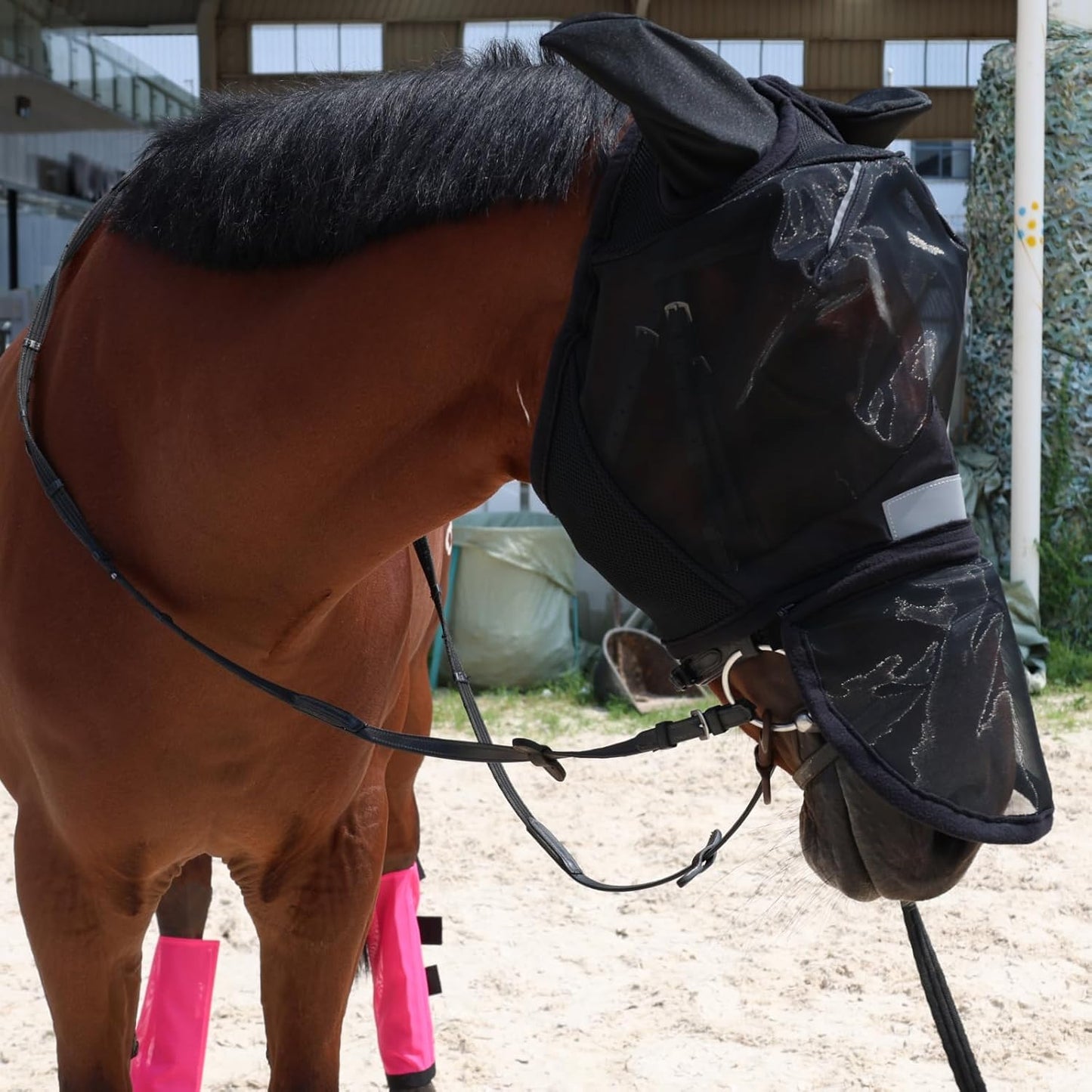 Luminous Horse Fly Mask with Long Nose, Ears, Full Face & Eye Protection - Full Mesh, Detachable Nose Cover, Fleece Padded Edging, Hook-and-Loop Straps with Webbing, Hanging Straps Black
