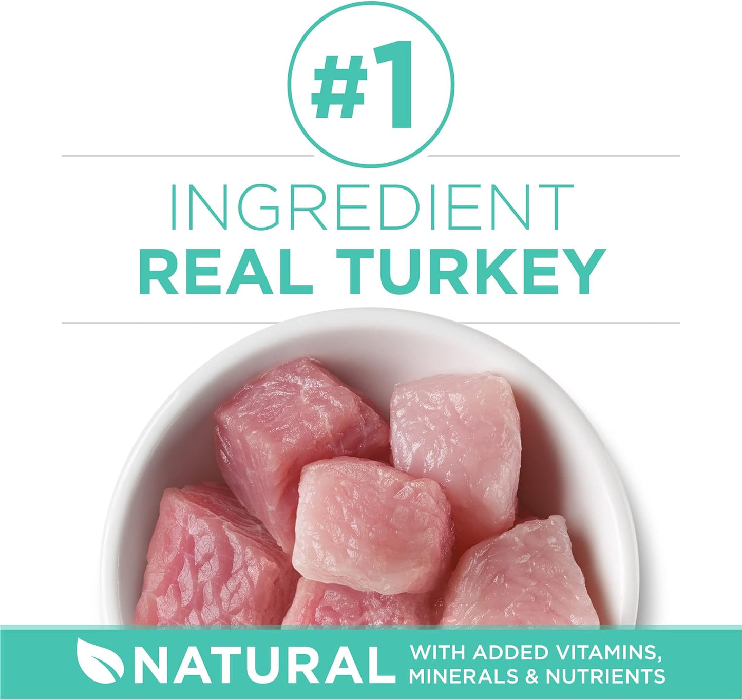 Purina ONE Sensitive Stomach, Sensitive Skin, Natural Dry Cat Food, +Plus Sensitive Skin and Stomach Formula - 7 lb. Bag