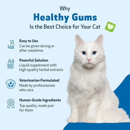 Pet Wellbeing Healthy Gums for Cats - Topical Drops for Oral Care, Dental Health & Fresh Breath - NASC Certified & Vet-Formulated - 4 oz Liquid