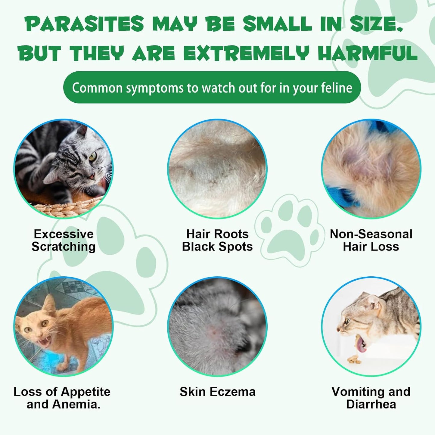 Specifically Formulated for Cats, Cats Natural Broad Spectrum Treatment, Herbal Cleanse, Digestive Support for All Cat Breeds, Gut Health, Puppy & Kitten, Supplement Drops