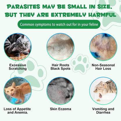 Specifically Formulated for Cats, Cats Natural Broad Spectrum Treatment, Herbal Cleanse, Digestive Support for All Cat Breeds, Gut Health, Puppy & Kitten, Supplement Drops