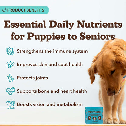 Natural Dog Company Multivitamin Chews & Super Seeds Food Topper Bundle – Daily Dog Supplement for Skin, Coat, Immunity & Nutrition – Peanut Butter Chews (90 ct) + Omega Superfood Topper (8 oz)