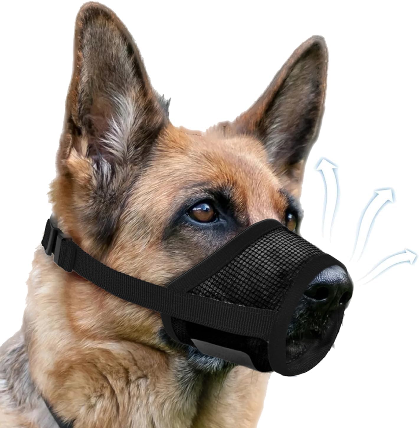 Dog Muzzle, Black-M-20251207