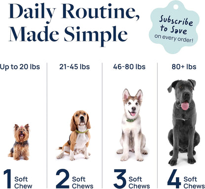 Veterinary Formula Gut Health Supplement for Dogs – Vet-Formulated Probiotic Chews with Digestive Enzymes & Fiber – Smart Vitality Supports Digestive Health, Gut Balance & Stool Quality, 60 Soft Chews