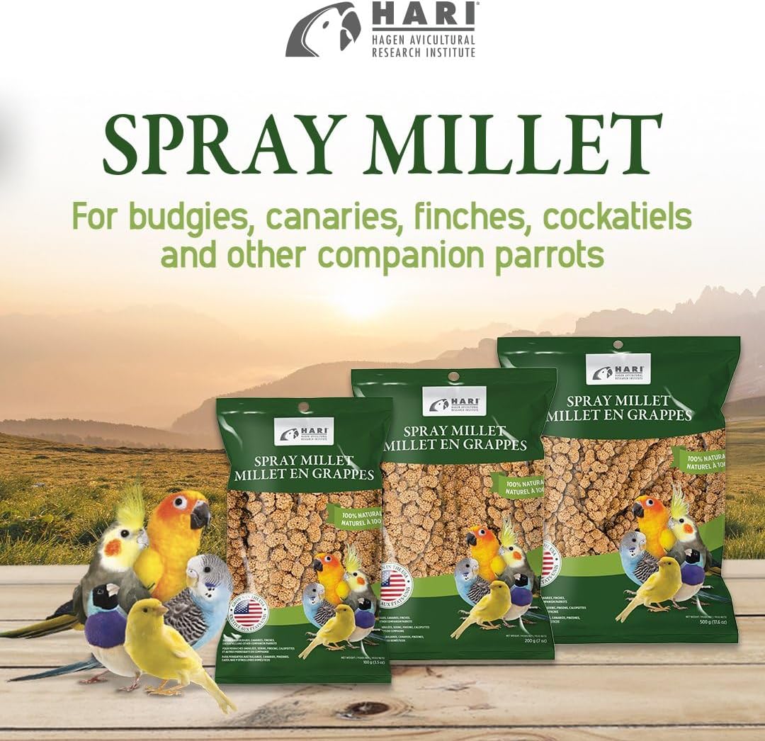 Living World – Millet Spray for Birds, 17.6 Oz – Premium Treat for Budgies, Canaries, Finches, Cockatiels and Other Pet Birds