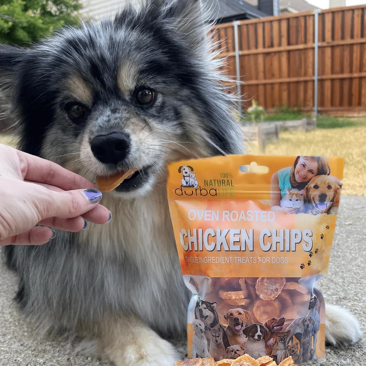 Chicken Chips Dehydrated Single Ingredient Treats for Dogs | Easy Chew | 1" Treat Size Ideal for Dog Training, Especially Puppies (4.0 oz (114g))