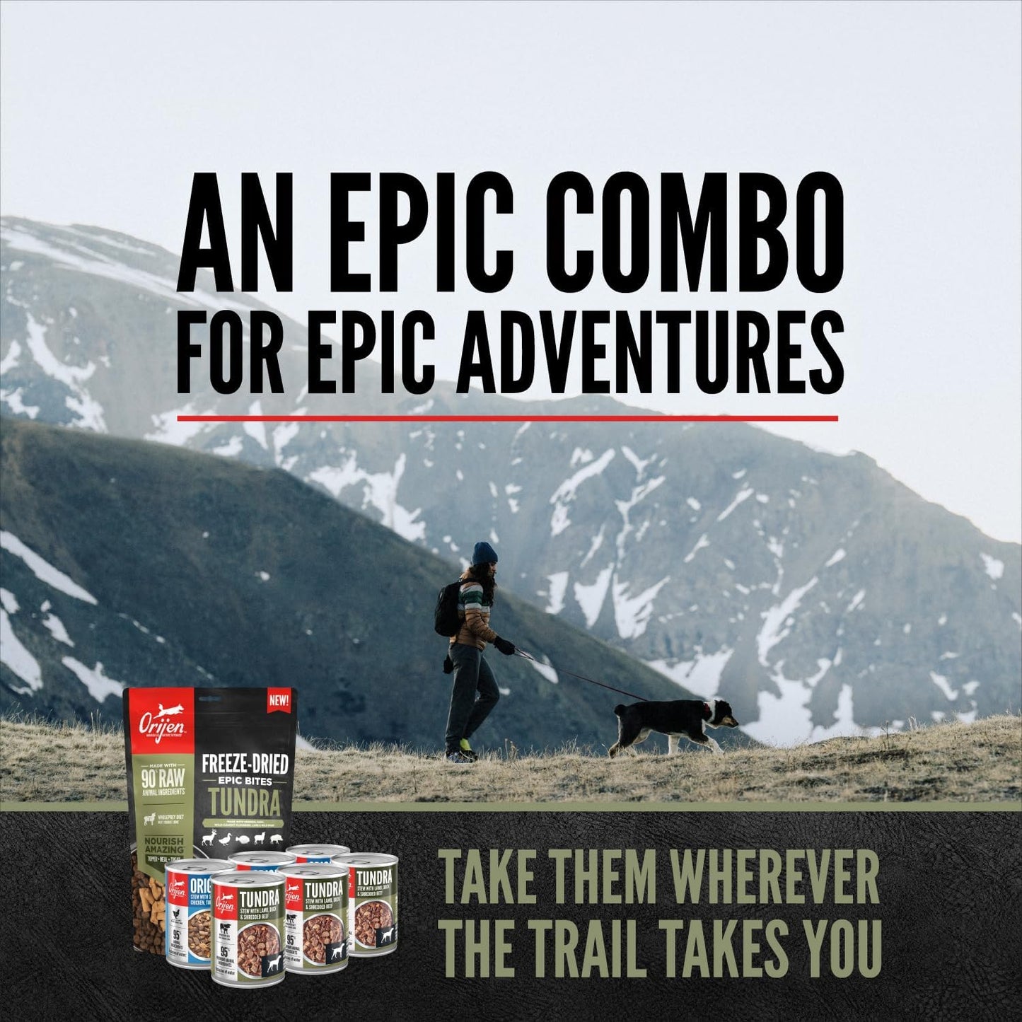 Bundle of ORIJEN Epic Bites Freeze-Dried Dry Dog Food Tundra Recipe 6oz Bag + ORIJEN Real Meat Shreds Wet Dog Food Variety Pack: Tundra + Original Recipes 12.8oz Cans (6 Count, 3 of Each)