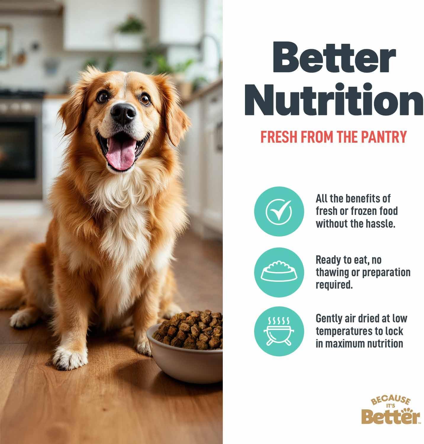 Because It's Better Slow Baked and Air Dried Dog Food, Real Salmon and Veggies, 3lb Bag, Complete and Balanced Dry Dog Food, for All Life Stages