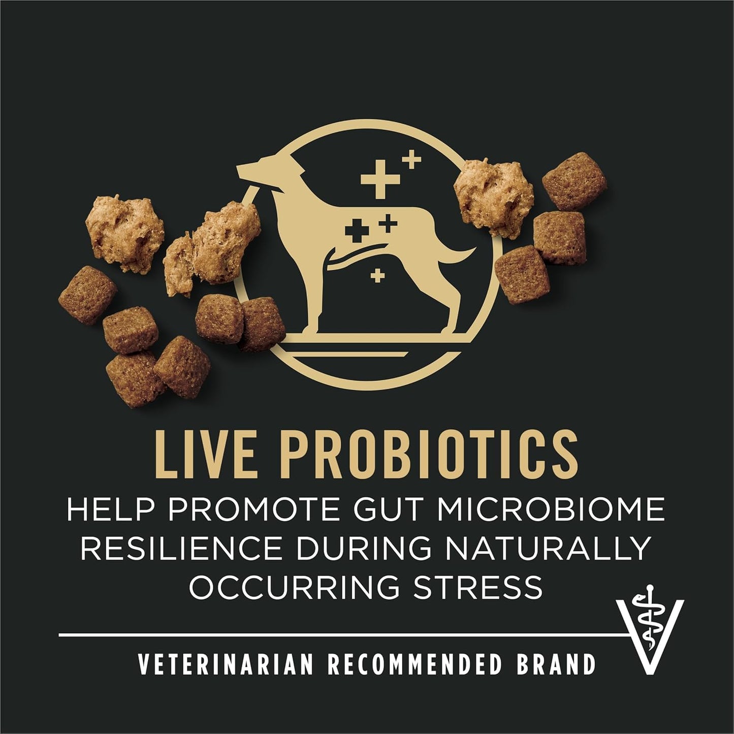 Purina Pro Plan Senior Dog Food With Probiotics for Dogs, Shredded Blend Chicken & Rice Formula - 6 lb. Bag