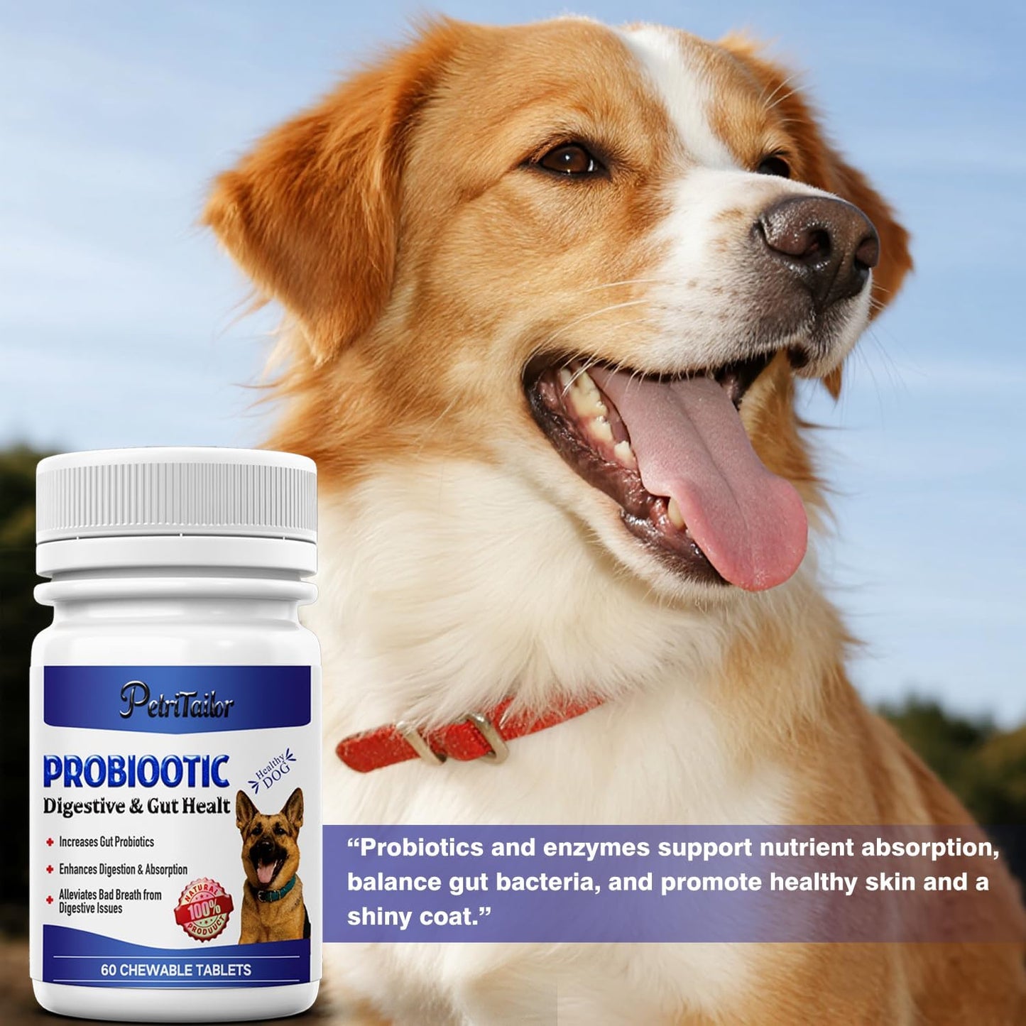 Probiotics Supplement for Dogs – Digestive Enzymes with Prebiotics for Gut Health, Diarrhea & Bowel Support, Immune Booster, Itch & Allergy Relief