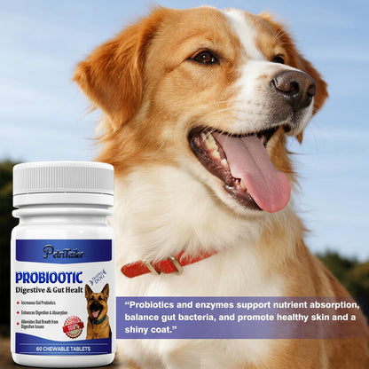 Probiotics Supplement for Dogs – Digestive Enzymes with Prebiotics for Gut Health, Diarrhea & Bowel Support, Immune Booster, Itch & Allergy Relief