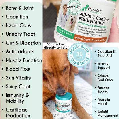 Balanced Breed Dog Health Bundle – All-in-1 Vitamins + Probiotics & Digestive Enzymes (2 × 60 Soft Chews)