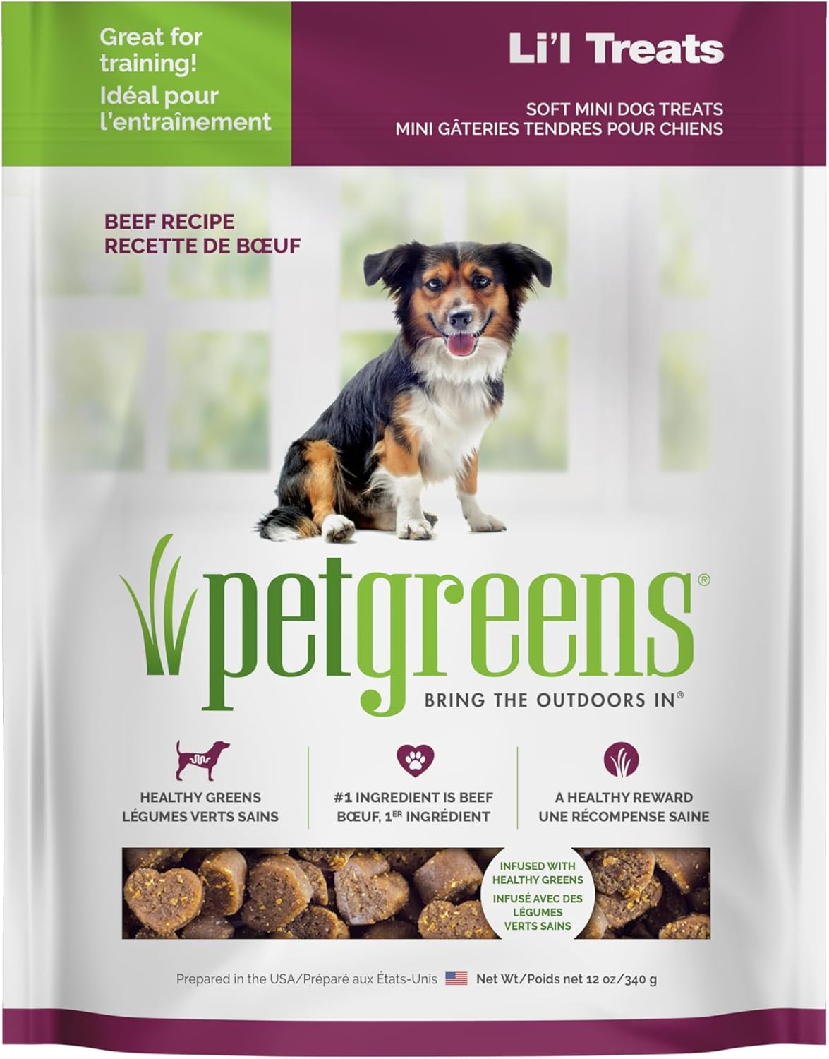 Pet Greens Treats Tasty Beef Semi-Moist Dog Treat 6oz