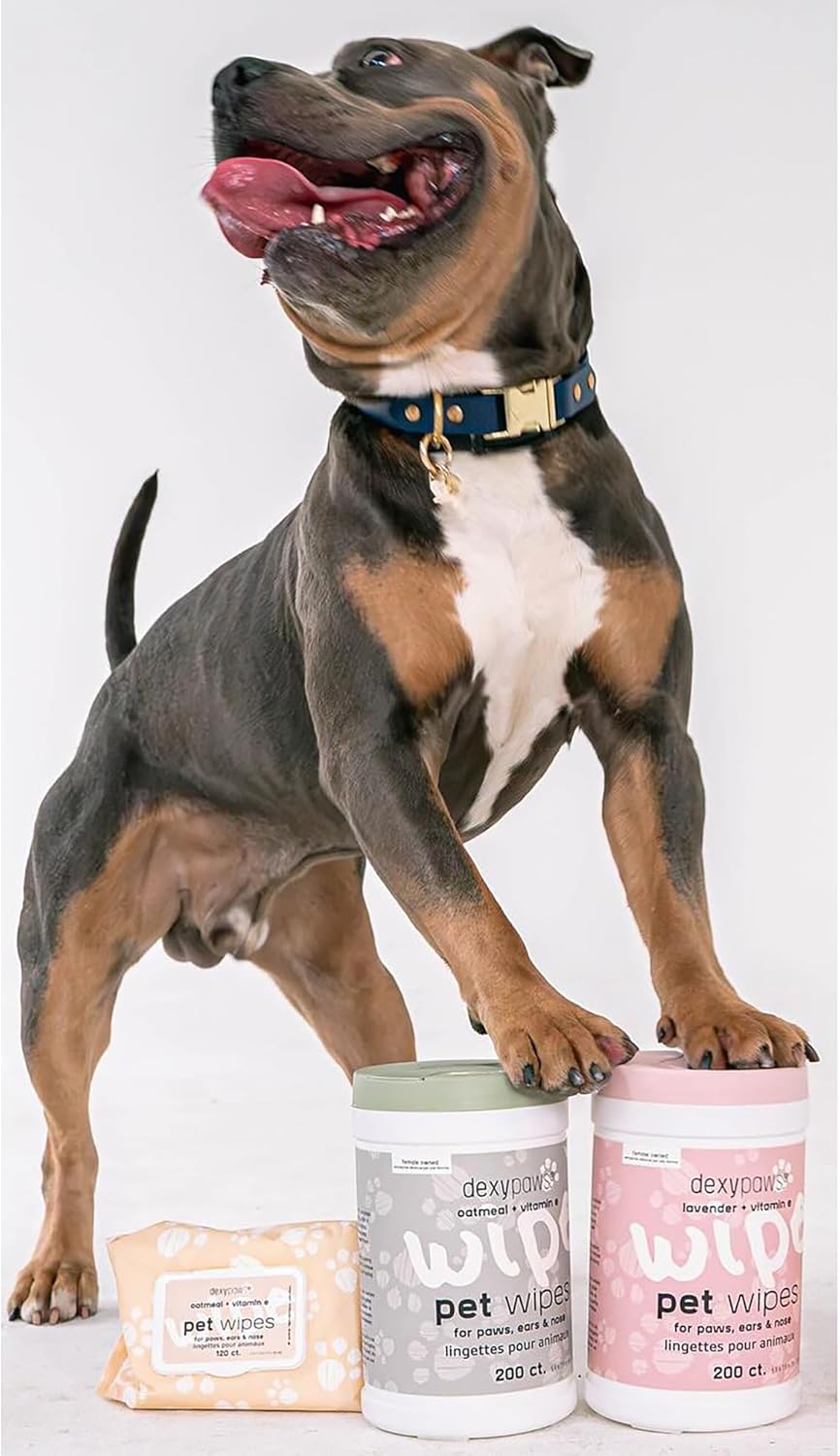 Dexypaws: Pet Wipes - Lavender & Vitamin E - 200ct Canister Cleansing Wet Wipes, Cats & Dogs Grooming Care, Paws-Face-Ears-Nose, Moist-Gentle-Portable