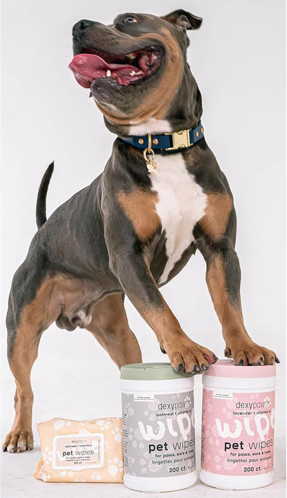 Dexypaws: Pet Wipes - Lavender & Vitamin E - 200ct Canister Cleansing Wet Wipes, Cats & Dogs Grooming Care, Paws-Face-Ears-Nose, Moist-Gentle-Portable
